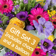 Gift Set 3 - Florist Choice Basket Arrangement