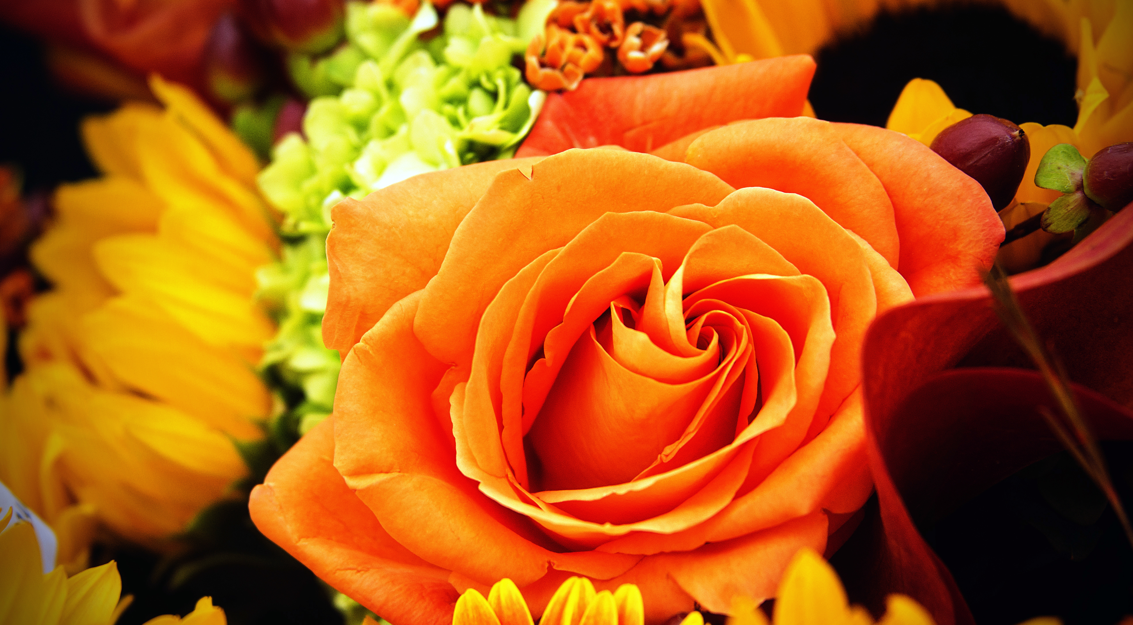 Gail's Florist